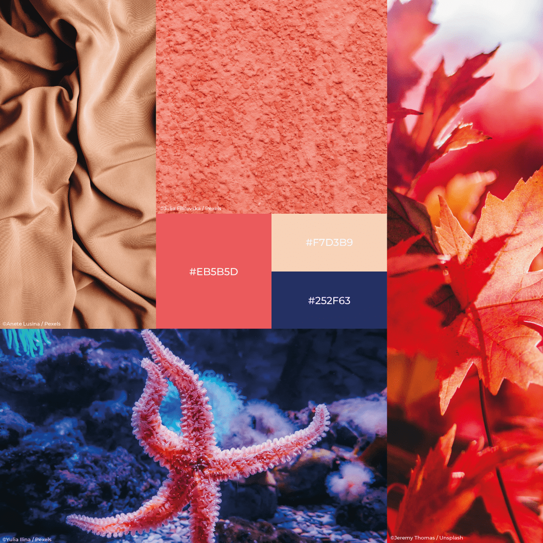 Mood board #1